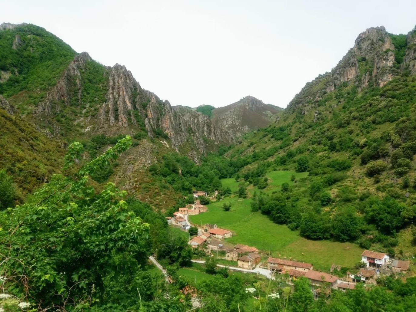 Laurel De Gulpiyuri De Llanes * Villahormes